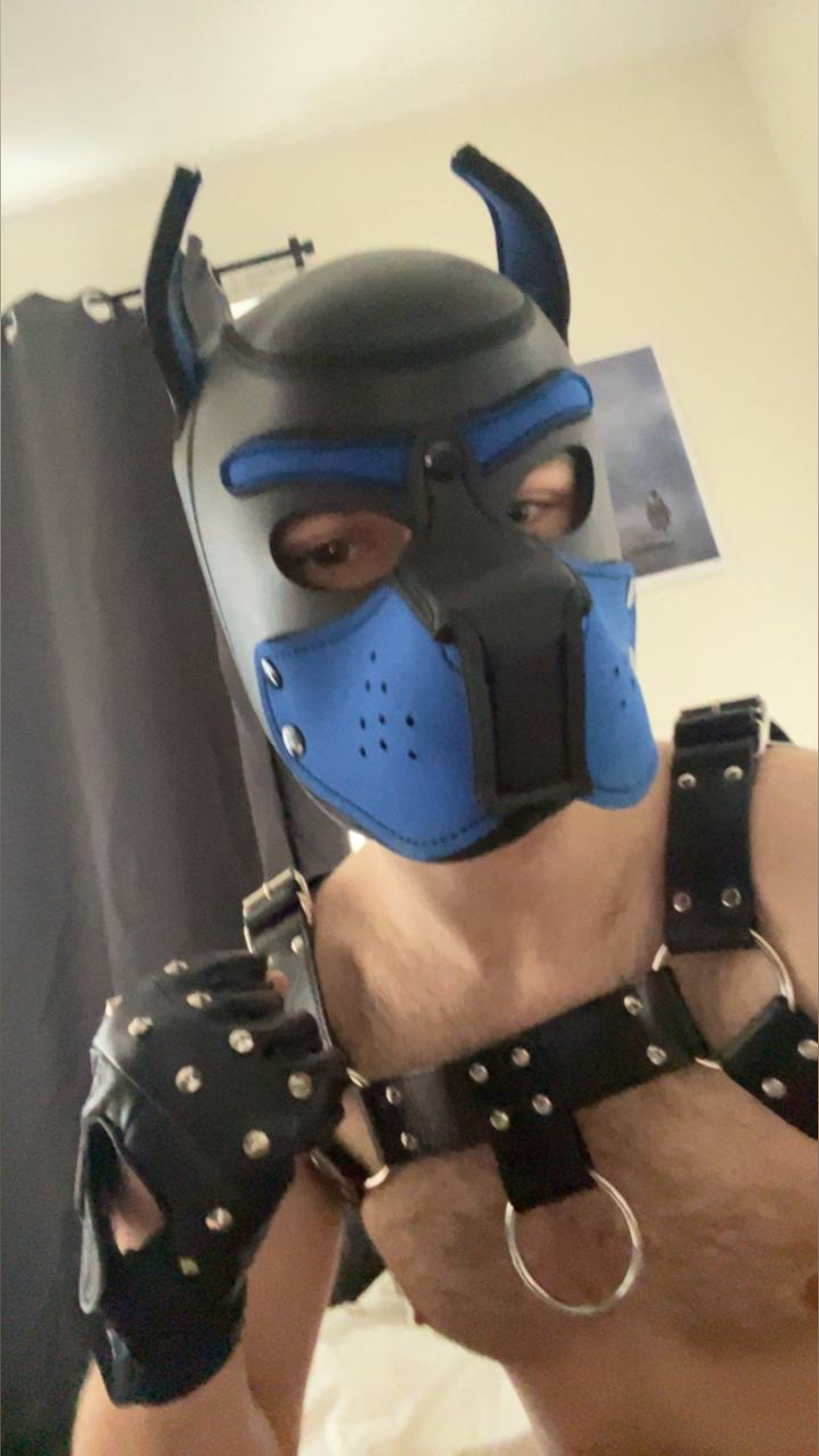 Pup Varco — new, free creator from Uppsala | Find Her OF